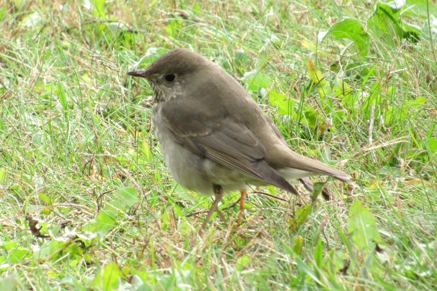 Halifax, NS - Oct. 2, 2020